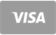 Visa card payment method accepted at LuckyHunter Casino